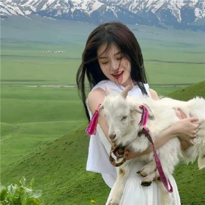 冰球小王子